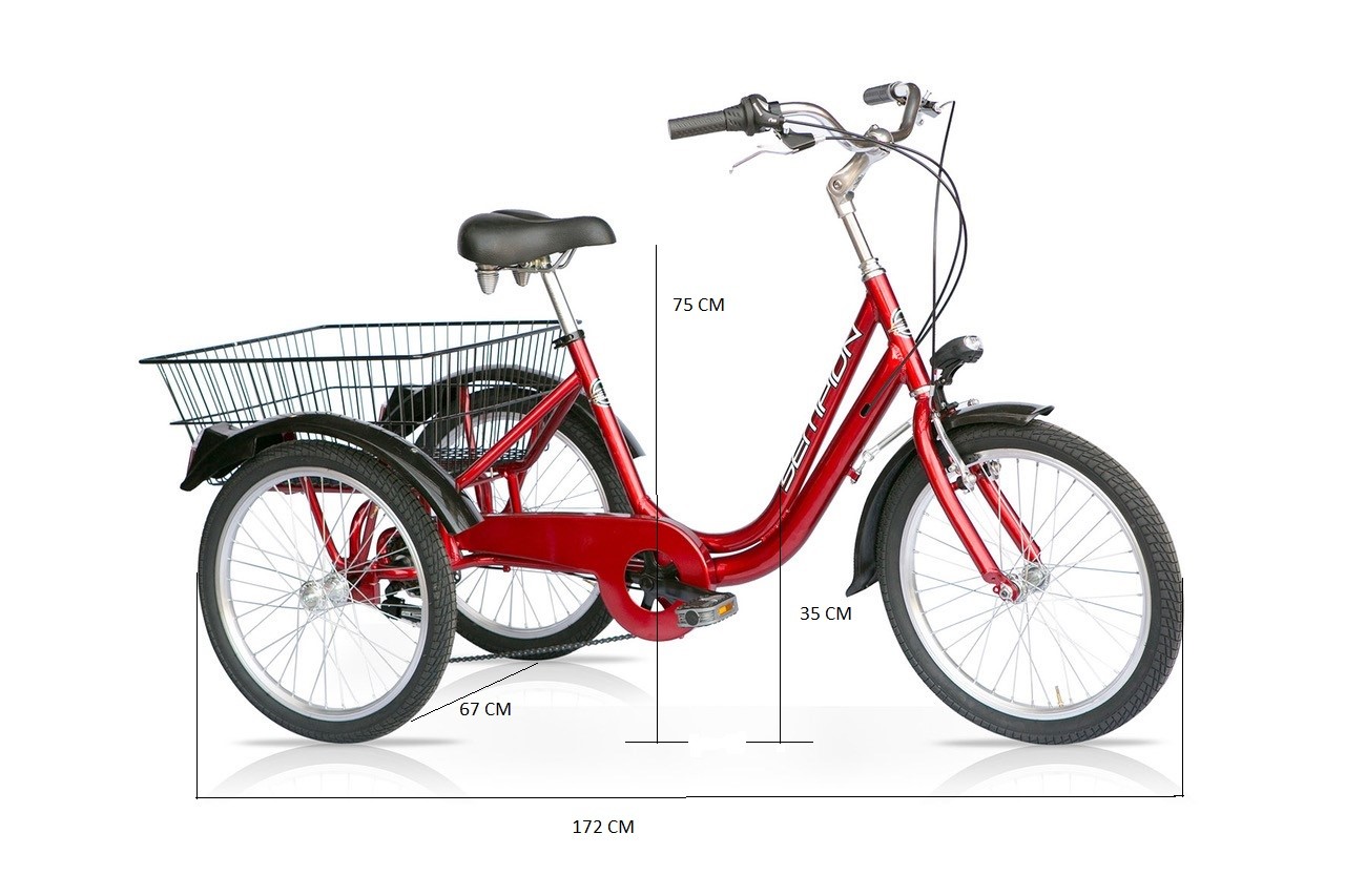 Triciclo speciale a 3 ruote ALU Special 20'' 6 marce