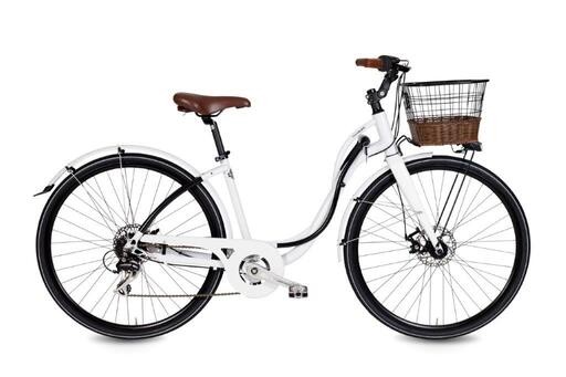 Žensko mestno kolo 28" Alessandria - 7p